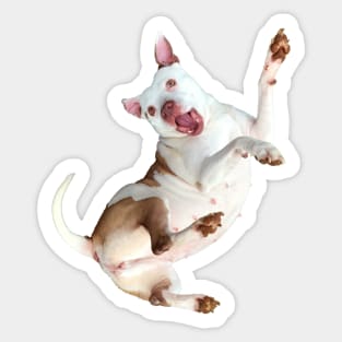 Happy Pitbull sticker Sticker